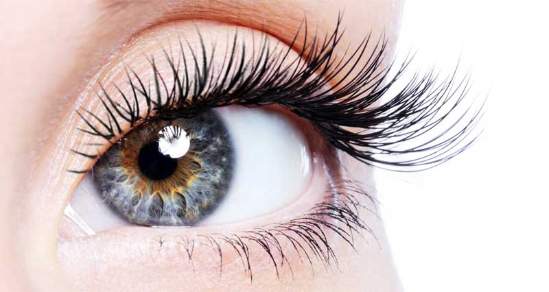 Basics of Eyelash Extensions 1