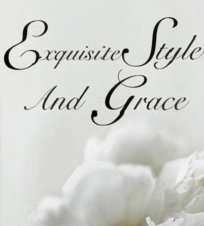 EXQUISITE STYLE AND GRACE auto x2