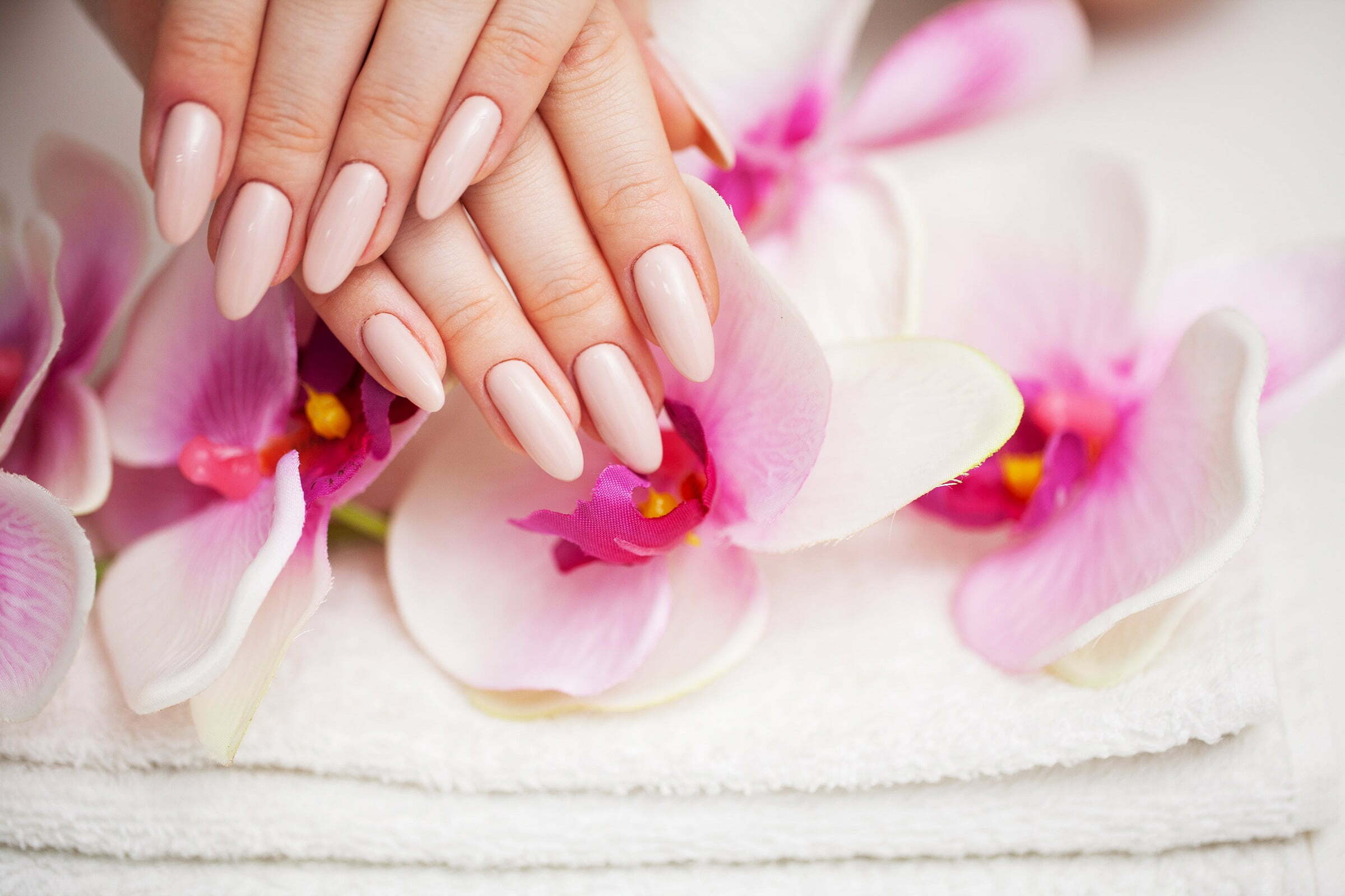What Is the Importance of Nail Care Services in the Beauty Industry 1